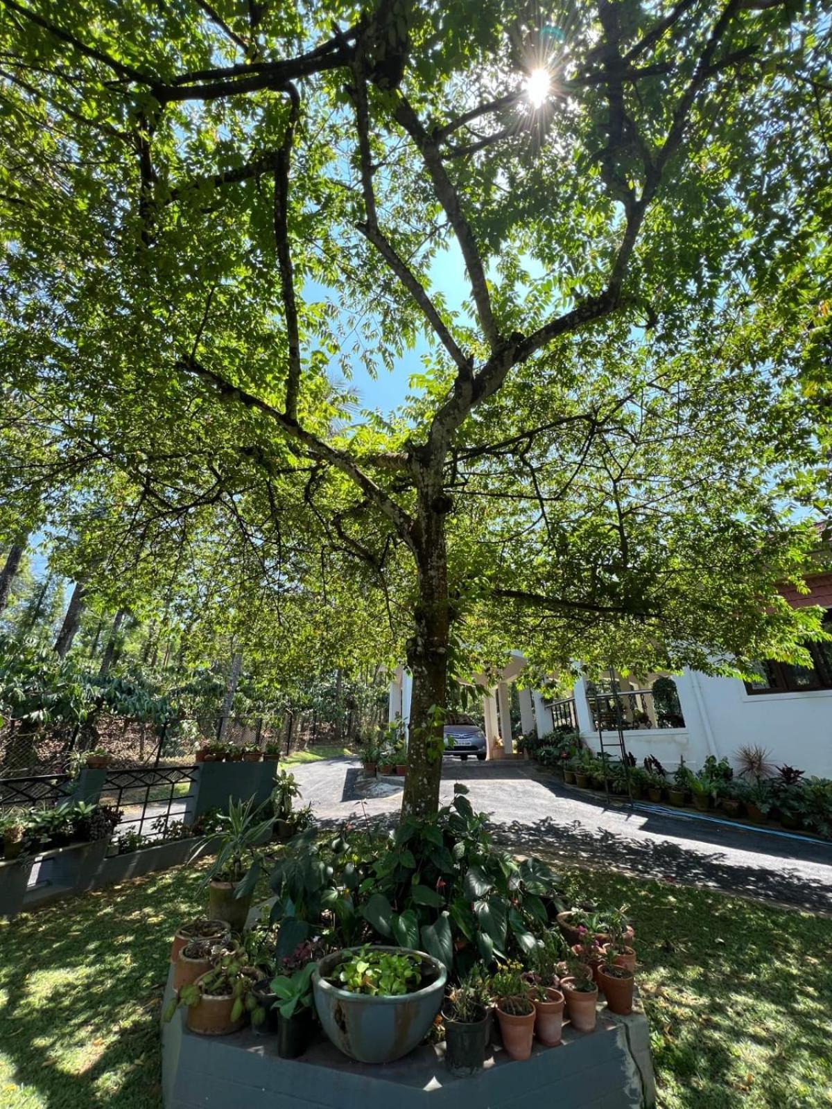 Emerald Castle Villa ماديكيري المظهر الخارجي الصورة